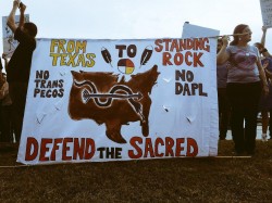  Texas demonstrators in austin, texas - photo provided by texas sierra club november 3, 2016