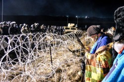 The front line separated with coils of razor wire - photo provided by rob wilson photography