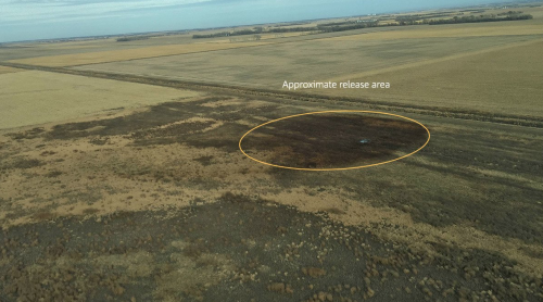 Keystone Pipeline spill in Amherst, SD aerial photograph - provided by TransCanada