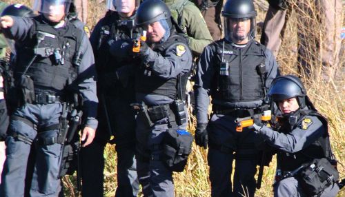 Ohio State Highway Patrol troopers and activists in the water - photograph by C.S. Hagen