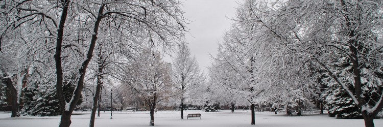 A winter 2017 scene in Grand Forks - photograph by C.S. Hagen