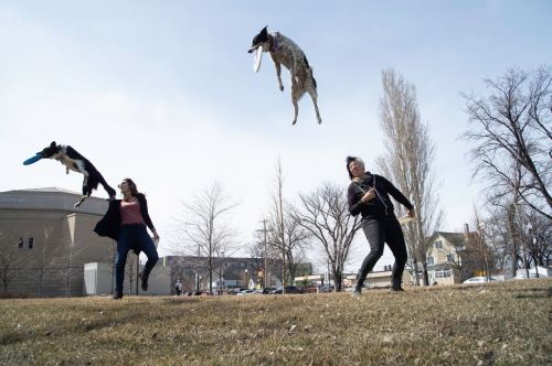 Dog trainers Abby Cline and Stavit 