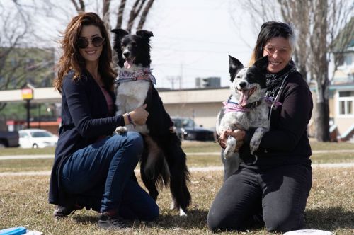 Dog trainers Abby Cline and Stavit 