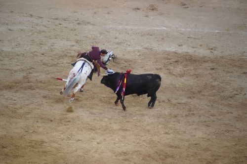 Madrid’s Plaza del Toro bullfight - photograph by Sabrina Hornung