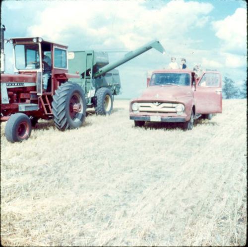 John Stenson at work in the field with accompanying family - photograph provided by Tia Stenson