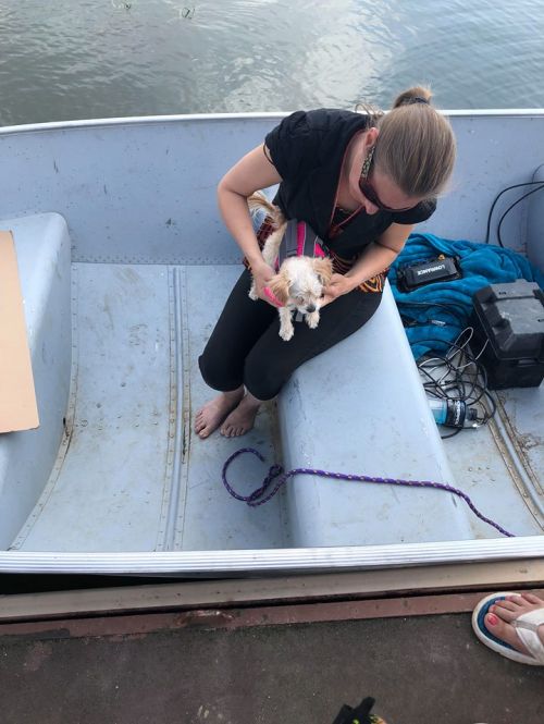 Volunteer Jemima Heppner and dog, Melly, in boat - photograph provided by Melaine Stoneman