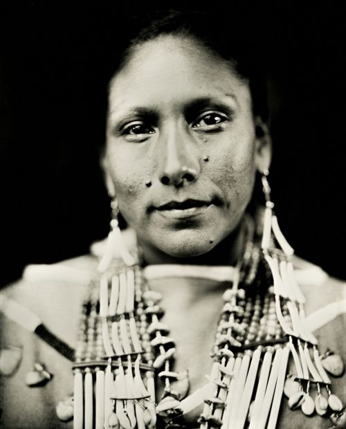 Floris White Bull - wet plate by Shane Balkowitsch