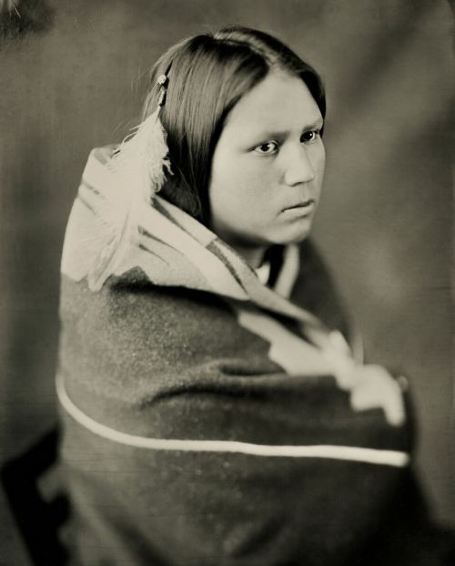 Kaydence V. Little Owl - wet plate by Shane Balkowitsch