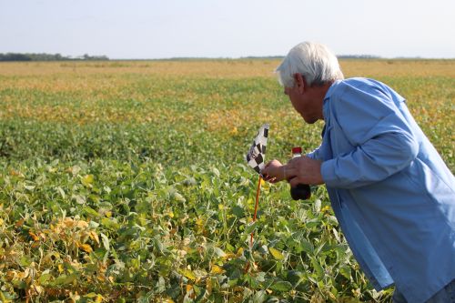 Donald Heitkamp shows a persticide flag depicting dicamba use in the field that was poisoned in 2010 - photograph by C.S. Hagen