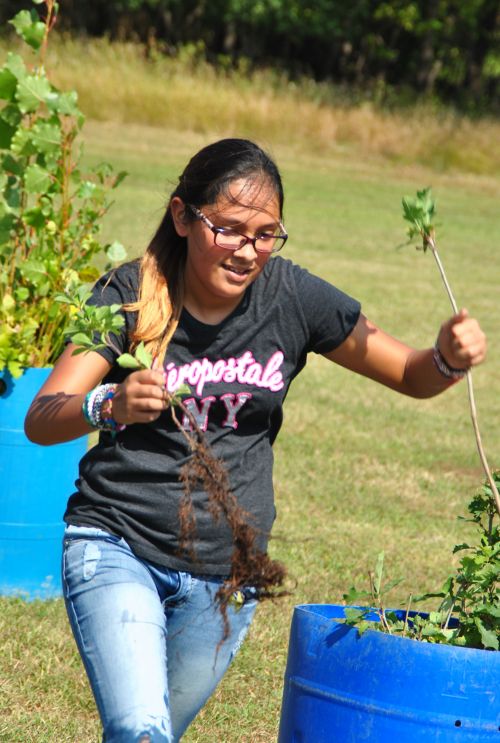 Students planting trees in Fargo 2017 - photograph by C.S. Hagen