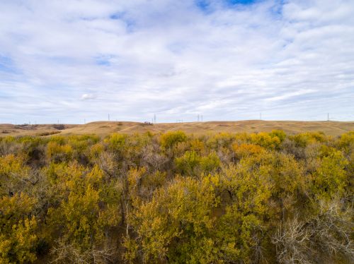 Fort Mandan - photography by Ben Kumpala 