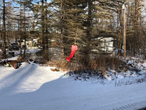 Red dress hanging near  White Earth State Forest to raise awareness for mmiw issues. this was the insperation for this weeks cover.- photograph provided by Lissa Yellowbird-Chase