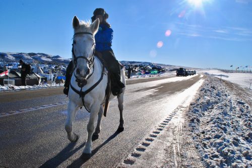 Activist on horseback in December 2016 - photograph by C.S. Hagen
