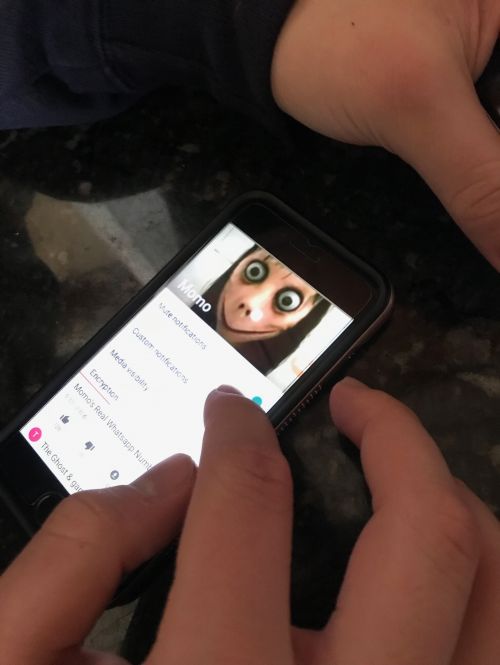 A teenager scrolling through Momo Challenge apps on WhatsApp - photograph by C.S. Hagen