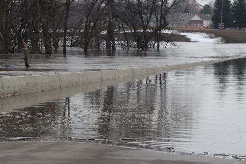 12th Avenue bridge and Jack Williams Stadium are under water - photograph by C.S. Hagen