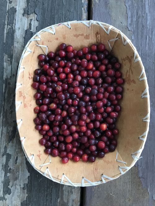 Chokecherries - photograph by Dana Thompson