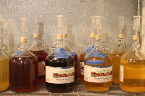 Experimental apple cider flavors - photograph by C.S. Hagen