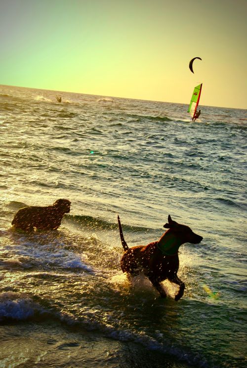 On the Mediterranean - photograph by C.S. Hagen