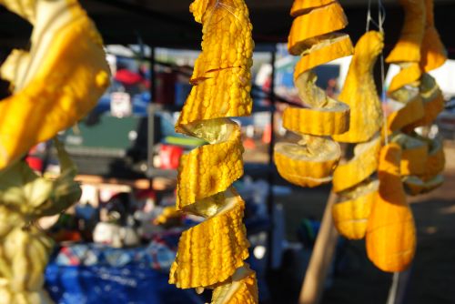 Drying squash during the DAPL controversy in 2016 - photograph by C.S. Hagen