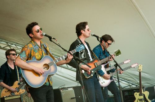 Cactus Blossoms - photograph by Nicole Hofer