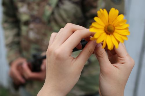 Guns and flowers - photograph by C.S. Hagen