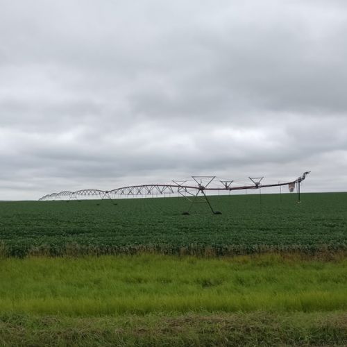 Irrigation rig in a soybean field near Pettibone - photograph by Sabrina Hornung
