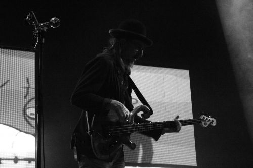 Les Claypool or Primus - photograph by Sabrina Hornung