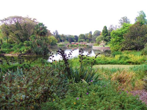 photo by Erin Thostenson - Melbourne Botanical Gardens