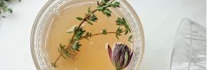 ​Herbalism for Winter Wellness