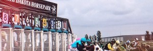 Fargo Horse Races