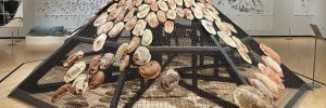 ​Rimer Cardillo: Deep Ecology/Sacred Natures opening reception