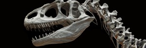 ​Dinosaur Day Set at North Dakota Heritage Center and State Museum