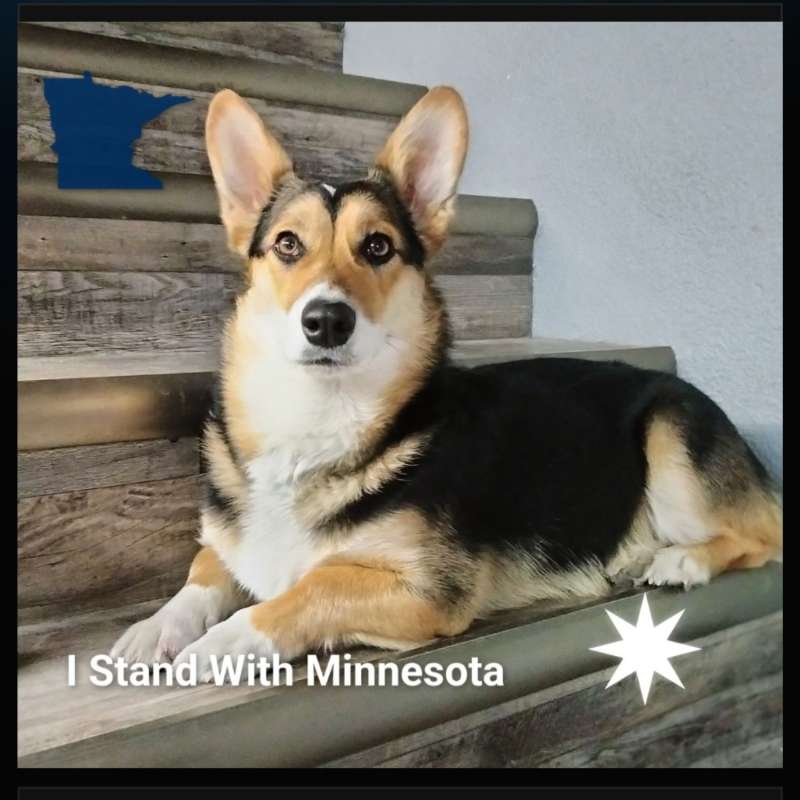 New widget allows people to ‘Stand with MN’