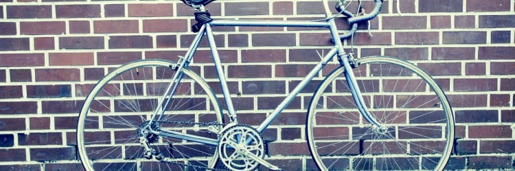 Almanzo 100 Wilderfest Bike Race: still a rookie