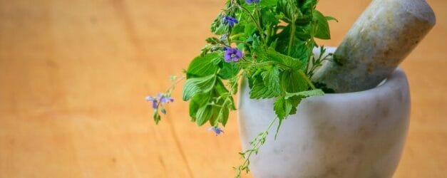 Down to earth medicine