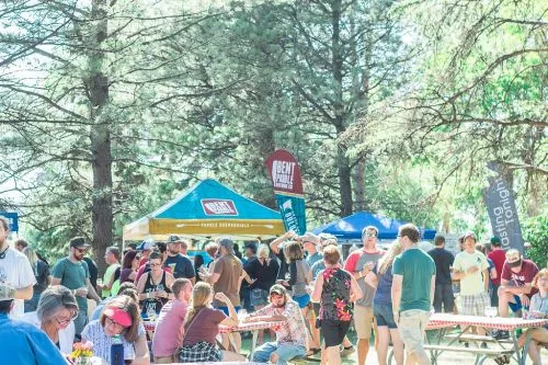 ​Treat yo self: Rare Beer Picnic