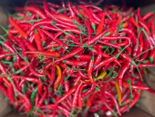 ​Lots of specialty food stores for good holiday eating