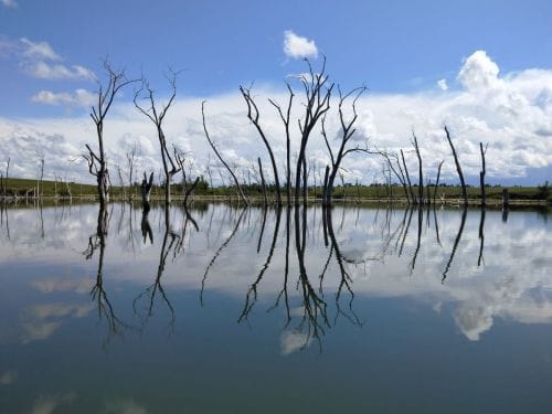 What is the value of water?