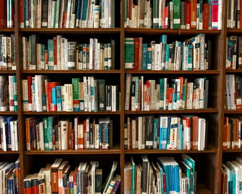 Protecting the First Amendment and preserving the integrity of libraries