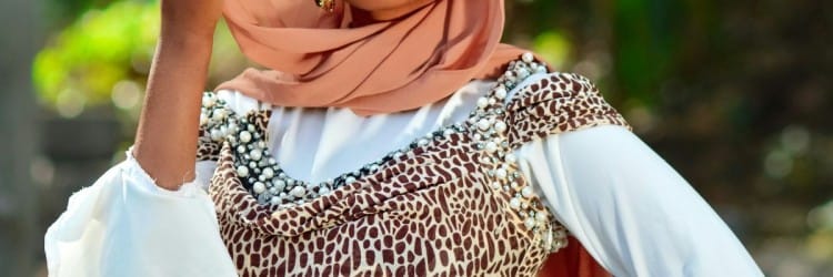 Somali Heritage Celebration in Fargo July 5