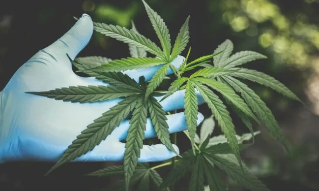 The Club of the Hashish-Eaters is recruiting
