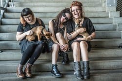 Babes in Toyland