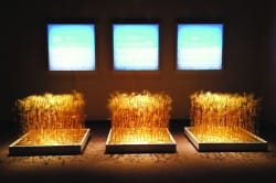 Artists respond to the oil boom