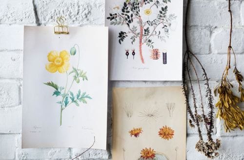 Art on Bluestem Prairie