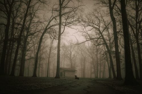 Haunted Farm Opening Weekend