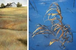 Grass: John Borge and Jonathan Rutter