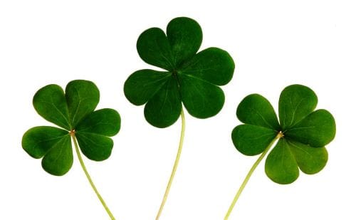 St. Patrick’s Day Pub Crawl