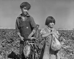 International Sugar Beet Institute