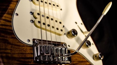2019 Winter Bluesfest