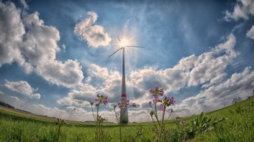 Renewable Energy Rally